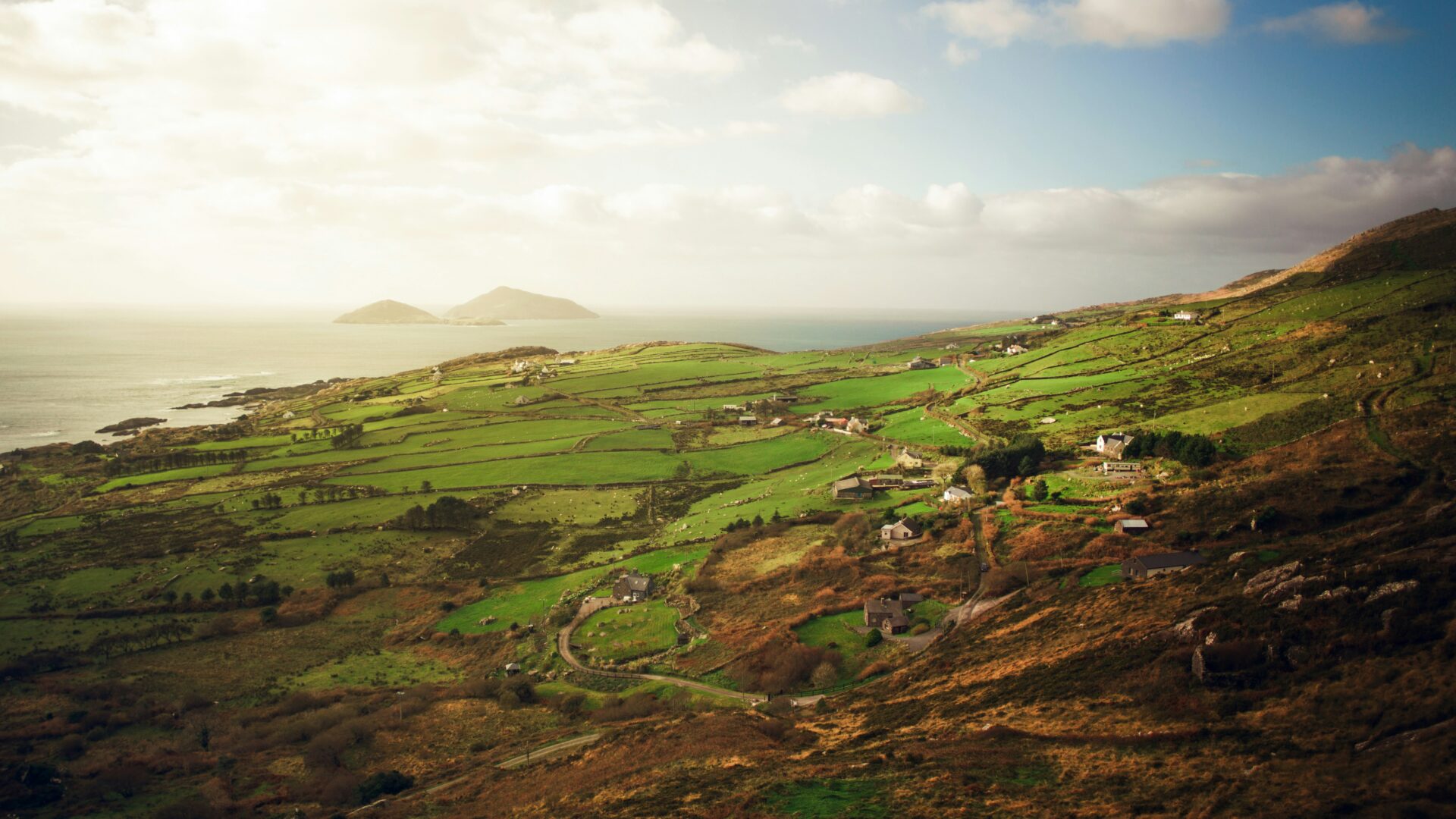 A green field with mountains in the background