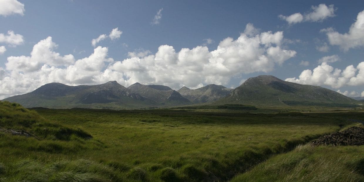 A grassy field with mountains in the background.